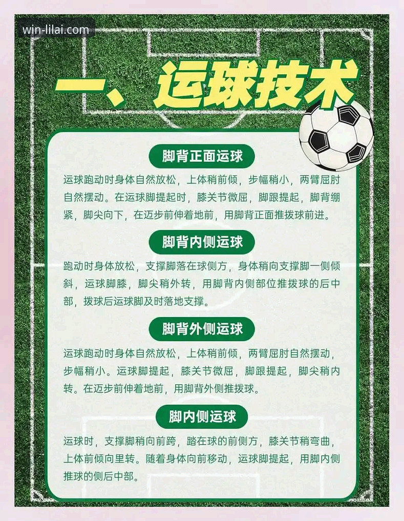 利来体育赛事直播实用指南：从下载到深度体验的必备知识