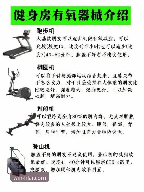 揭秘利来体育平台：从安装到精通，一份被忽视的完整使用指南